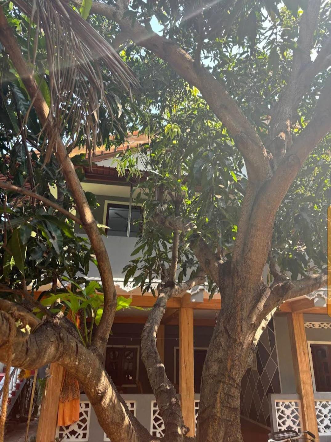 Enoch Guest House Mannar Exterior foto